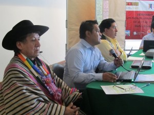 Reuniao indigena