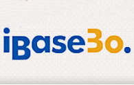 Ibase 30 Anos