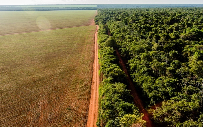 Foto: Fabio Nascimento - ISA